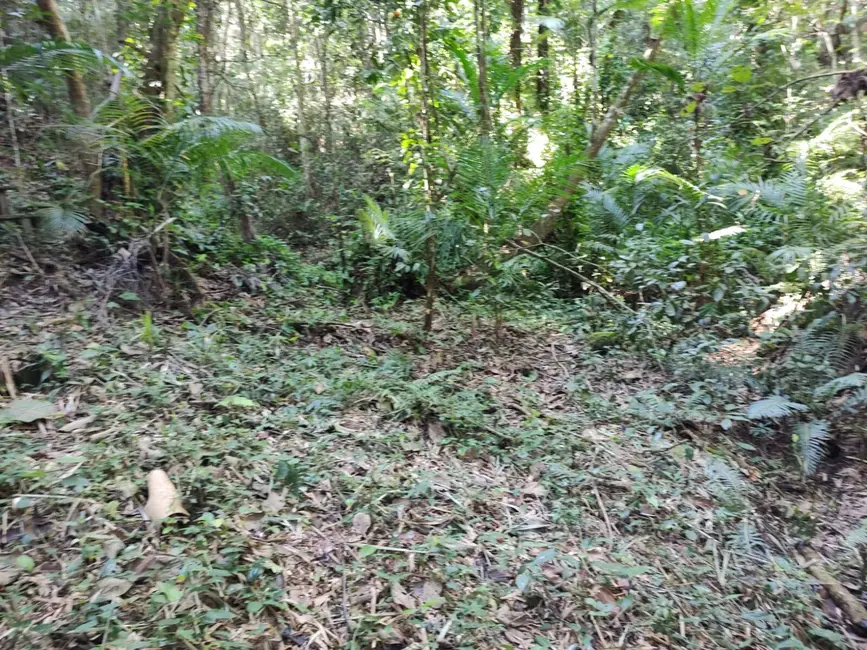 Foto 9 de Terreno / Lote à venda, 5250m2 em Santa Clara, Jundiai - SP