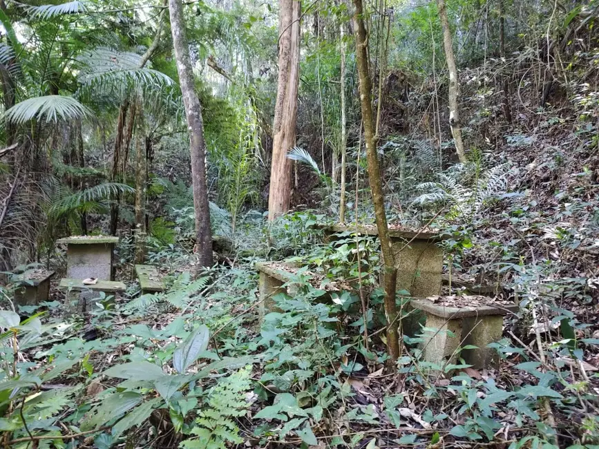 Foto 5 de Terreno / Lote à venda, 5250m2 em Santa Clara, Jundiai - SP