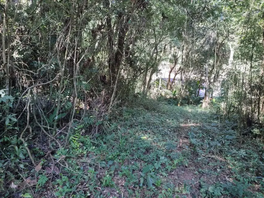 Foto 4 de Terreno / Lote à venda, 5250m2 em Santa Clara, Jundiai - SP