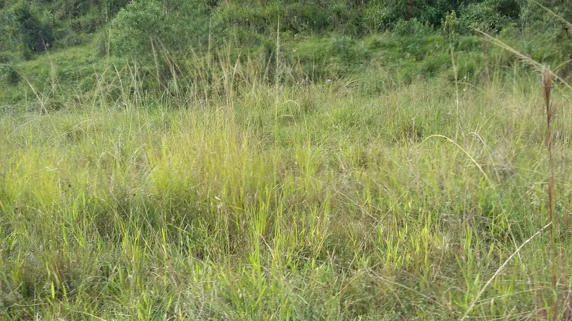 Foto 6 de Terreno / Lote à venda, 60778m2 em Tijuco Preto, Jundiai - SP