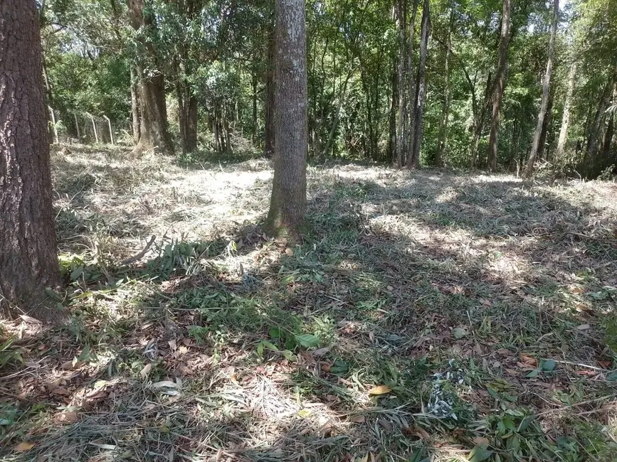 Foto 3 de Terreno / Lote à venda, 1250m2 em Chácara Itamar, Jundiai - SP