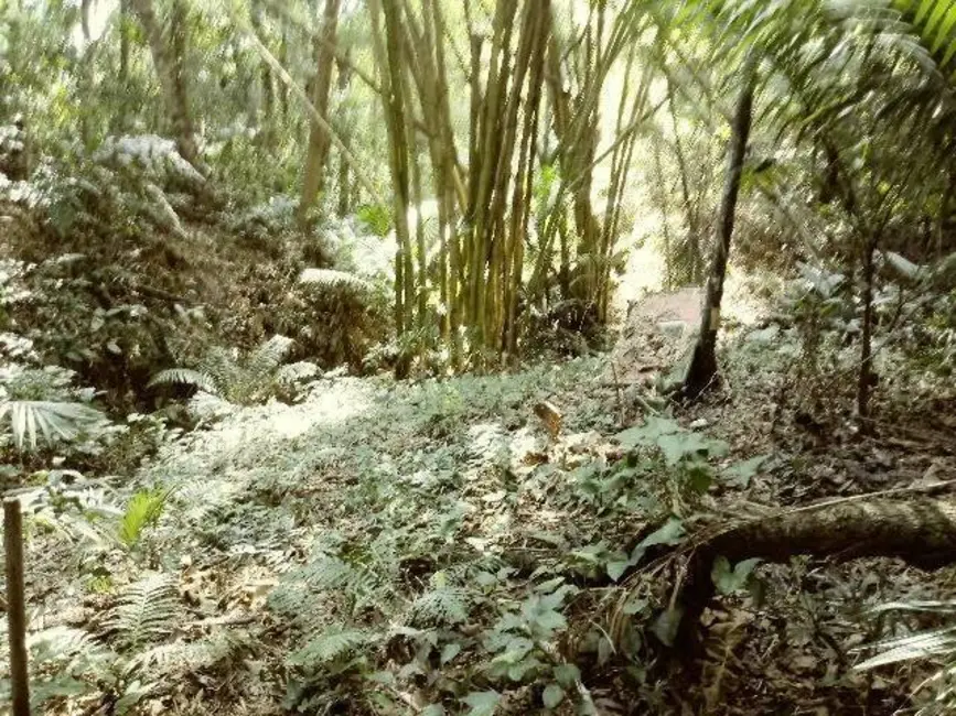 Foto 7 de Terreno / Lote à venda, 5280m2 em Santa Clara, Jundiai - SP