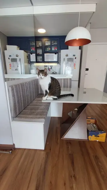 Foto 3 de Apartamento com 2 quartos à venda, 50m2 em Jundiai - SP