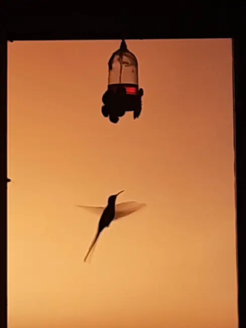 Foto 3 de Apartamento com 2 quartos à venda, 54m2 em Loteamento Parque Industrial, Jundiai - SP