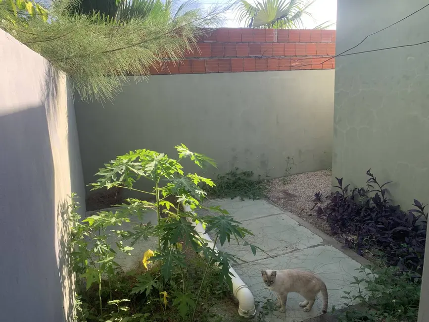 Casa à venda em Cascavel - CE - imagem 14 Foto 14 de Casa à venda em Cascavel - CE