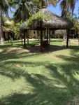 Imagem 4