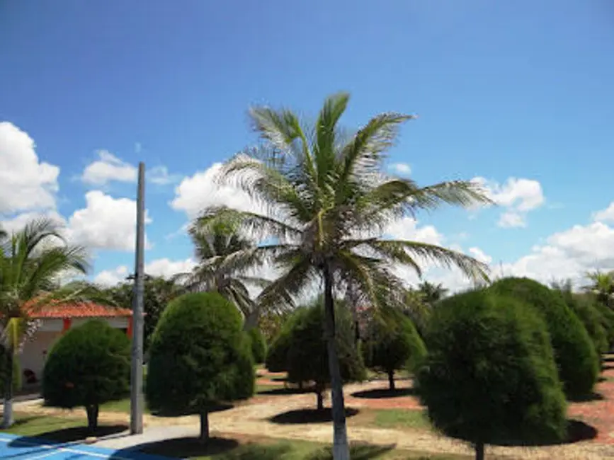 Casa à venda em Cascavel - CE - imagem 14 Foto 14 de Casa à venda em Cascavel - CE