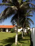 Imagem 11