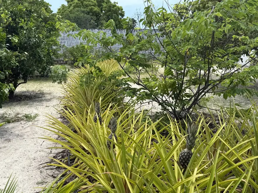Foto 3 de Casa à venda em Cascavel - CE