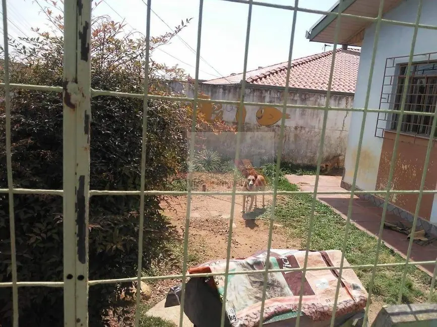 Terreno / Lote à venda, 412m2 em Iguaçu, Araucaria - PR - imagem 7 Foto 7 de Terreno / Lote à venda, 412m2 em Iguaçu, Araucaria - PR