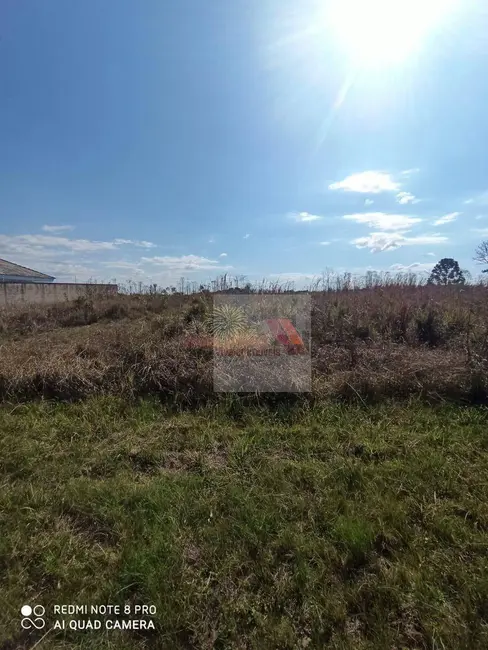 Foto 3 de Terreno / Lote à venda, 1050m2 em Centro, Contenda - PR