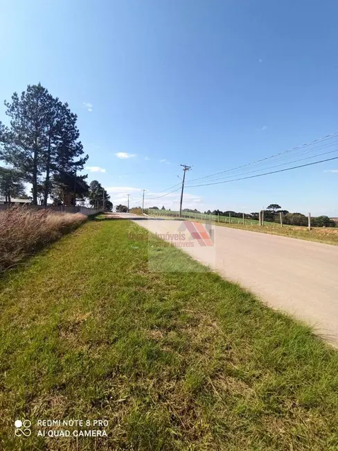 Foto 6 de Terreno / Lote à venda, 1050m2 em Centro, Contenda - PR