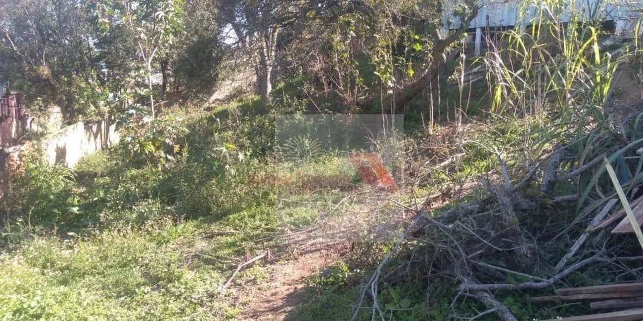 Casa com 3 quartos à venda, 523m2 em Iguaçu, Araucaria - PR - imagem 5 Foto 5 de Casa com 3 quartos à venda, 523m2 em Iguaçu, Araucaria - PR