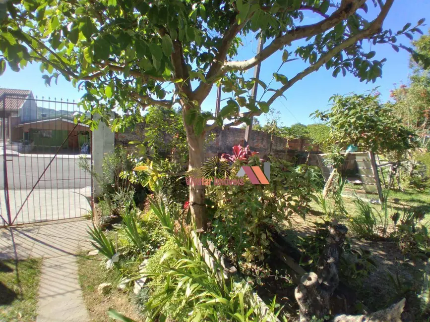 Terreno / Lote à venda, 491m2 em Campina da Barra, Araucaria - PR - imagem 6 Foto 6 de Terreno / Lote à venda, 491m2 em Campina da Barra, Araucaria - PR