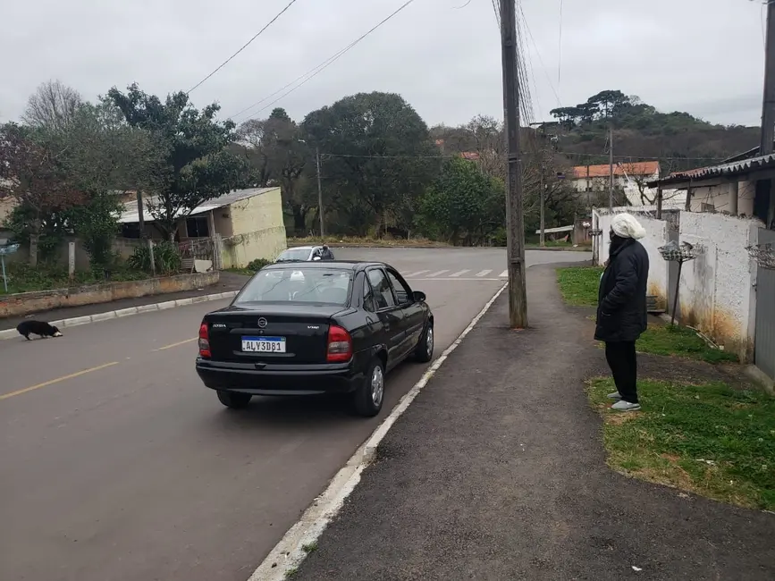 Foto 6 de Terreno / Lote à venda, 480m2 em Boqueirão, Araucaria - PR