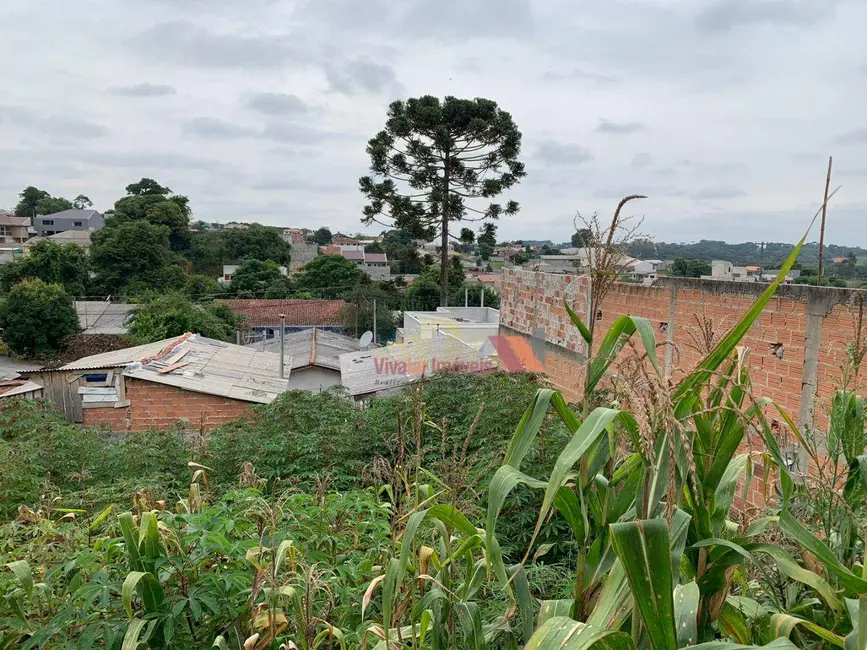 Foto 7 de Terreno / Lote à venda, 403m2 em Campina da Barra, Araucaria - PR