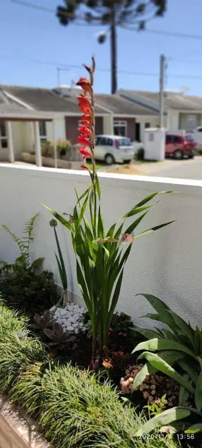 Foto 8 de Casa de Condomínio com 2 quartos à venda, 60m2 em Campina da Barra, Araucaria - PR