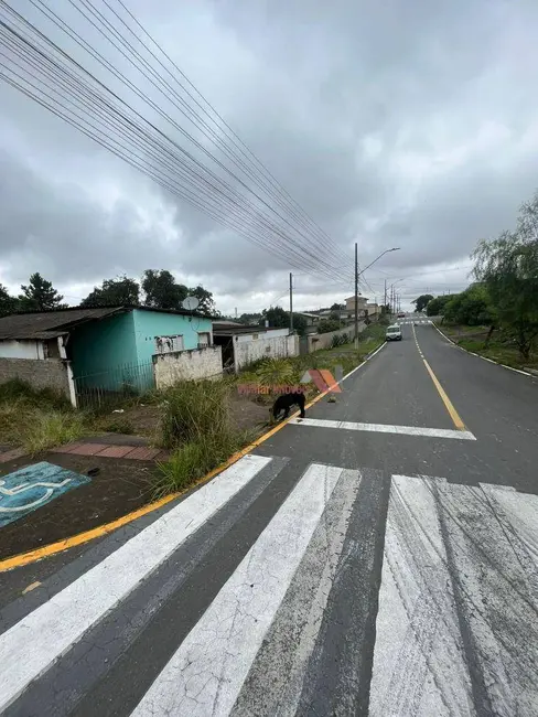 Foto 3 de Terreno / Lote à venda, 205m2 em Capela Velha, Araucaria - PR