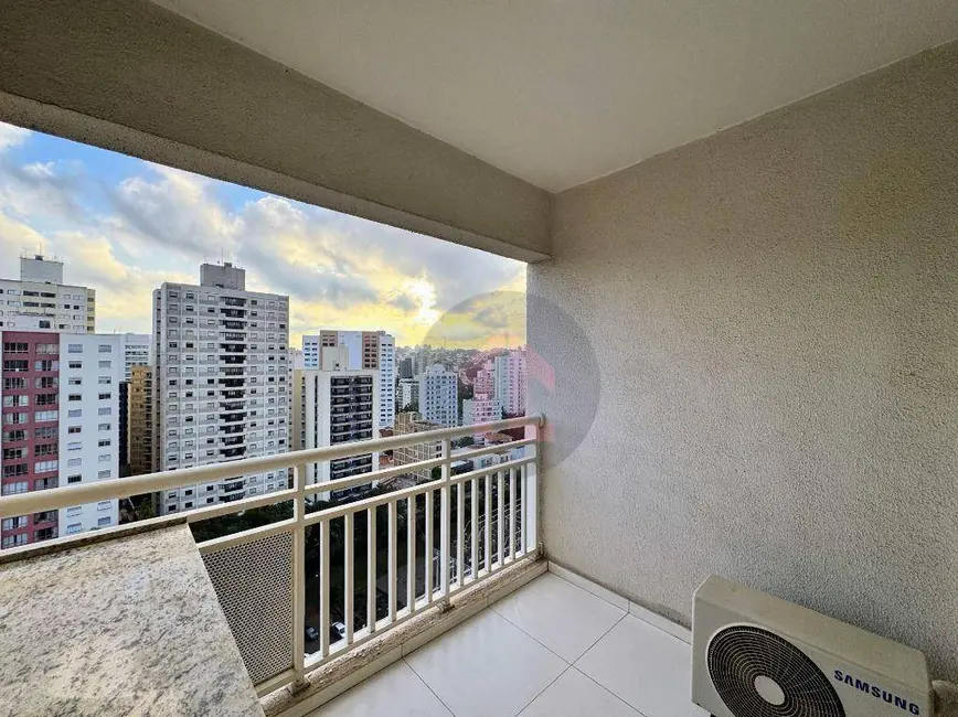 Apartamento com 1 quarto para alugar, 46m2 em Cambuí, Campinas - SP - imagem 8 Foto 8 de Apartamento com 1 quarto para alugar, 46m2 em Cambuí, Campinas - SP