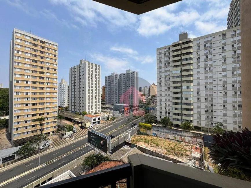 Apartamento com 1 quarto para alugar, 70m2 em Cambuí, Campinas - SP - imagem 6 Foto 6 de Apartamento com 1 quarto para alugar, 70m2 em Cambuí, Campinas - SP