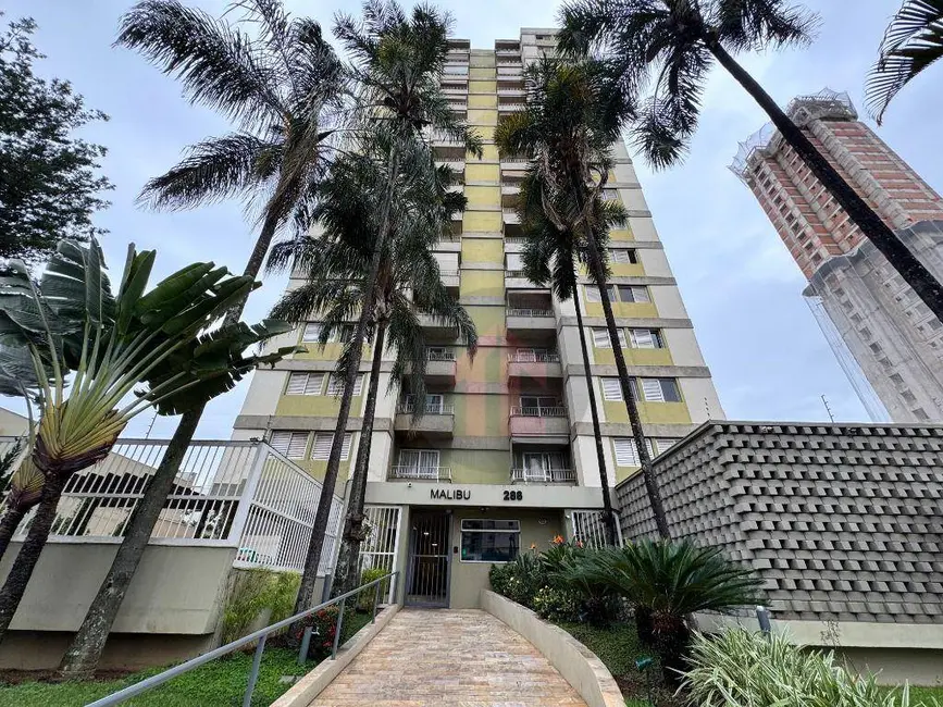 Apartamento com 3 quartos para alugar, 85m2 em Cambuí, Campinas - SP - imagem 1 Foto 1 de Apartamento com 3 quartos para alugar, 85m2 em Cambuí, Campinas - SP