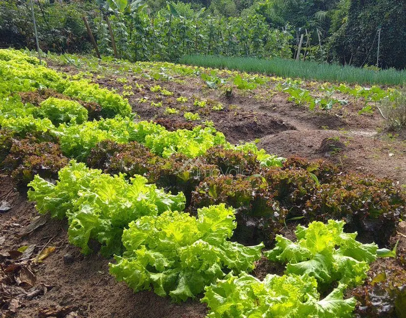 Foto 3 de Terreno / Lote à venda, 1906m2 em Jacarei - SP