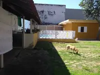 Imagem 4