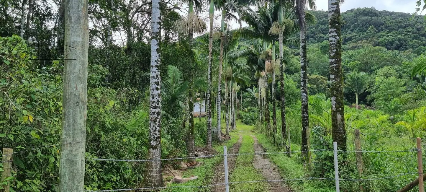 Foto 2 de Sítio / Rancho com 2 quartos à venda, 314000m2 em Itanhaem - SP