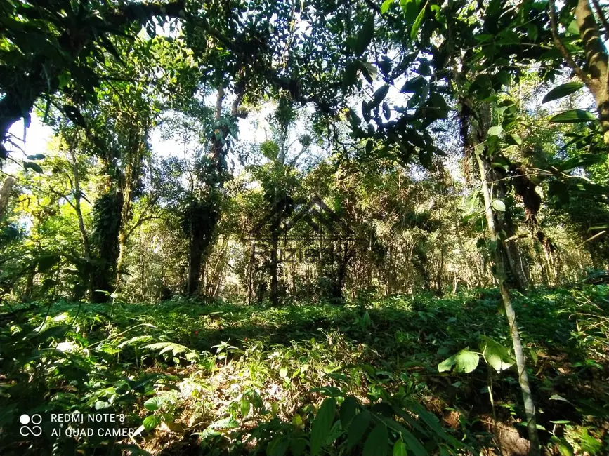 Chácara à venda, 1000m2 em Itanhaem - SP - imagem 3 Foto 3 de Chácara à venda, 1000m2 em Itanhaem - SP