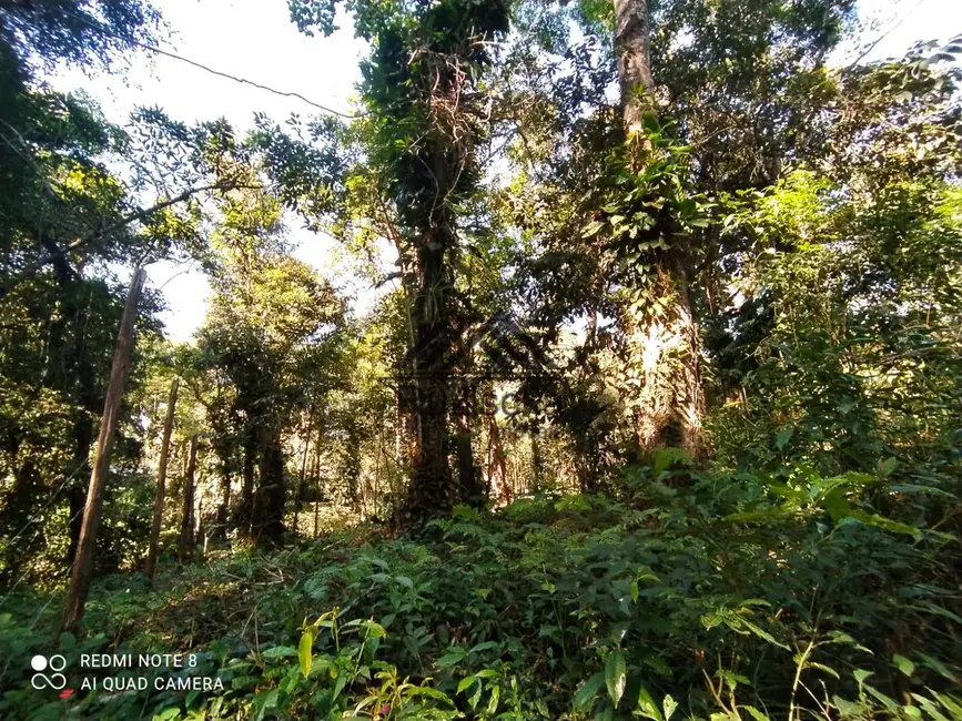 Chácara à venda, 1000m2 em Itanhaem - SP - imagem 5 Foto 5 de Chácara à venda, 1000m2 em Itanhaem - SP