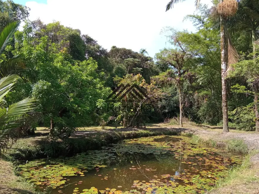 Chácara com 4 quartos à venda, 5000m2 em Itanhaem - SP - imagem 5 Foto 5 de Chácara com 4 quartos à venda, 5000m2 em Itanhaem - SP