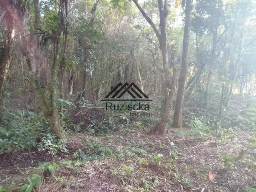 Chácara à venda, 1250m2 em Itanhaem - SP - imagem 10 Foto 10 de Chácara à venda, 1250m2 em Itanhaem - SP