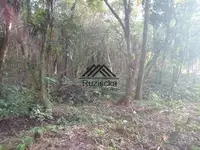 Imagem 10