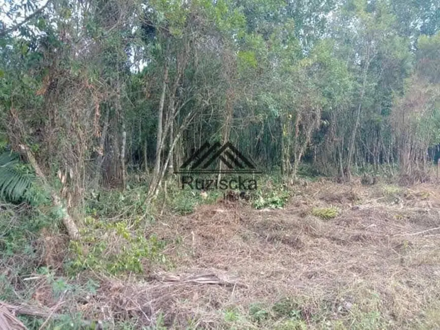 Chácara à venda, 1250m2 em Itanhaem - SP - imagem 3 Foto 3 de Chácara à venda, 1250m2 em Itanhaem - SP