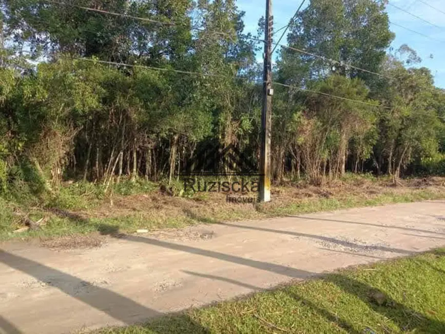 Chácara à venda, 1250m2 em Itanhaem - SP - imagem 9 Foto 9 de Chácara à venda, 1250m2 em Itanhaem - SP