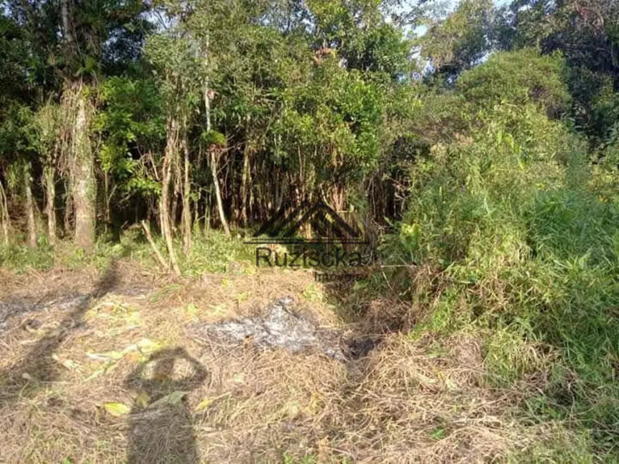 Chácara à venda, 1250m2 em Itanhaem - SP - imagem 5 Foto 5 de Chácara à venda, 1250m2 em Itanhaem - SP