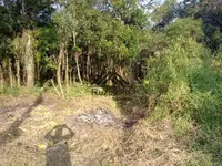 Imagem 5
