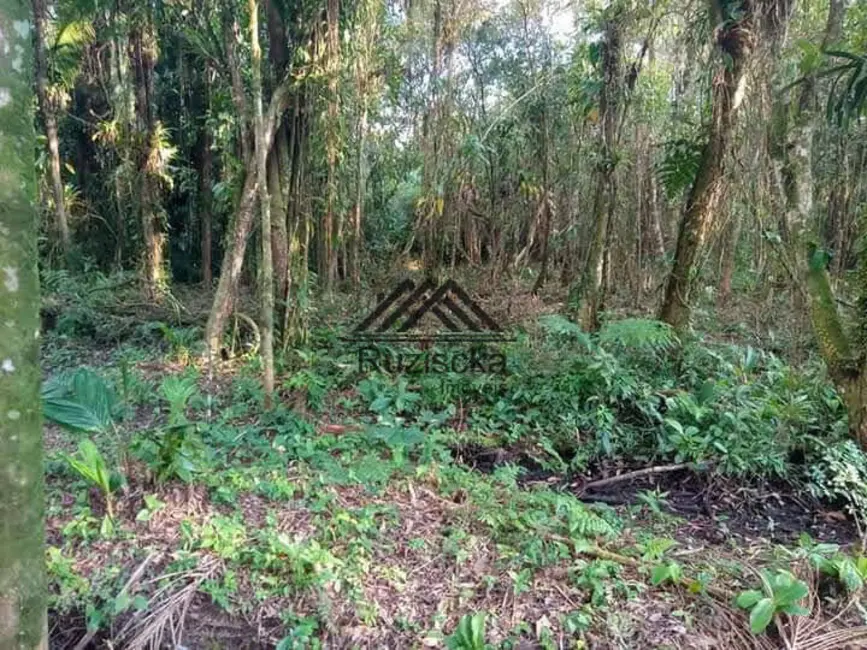 Chácara à venda, 1250m2 em Itanhaem - SP - imagem 11 Foto 11 de Chácara à venda, 1250m2 em Itanhaem - SP
