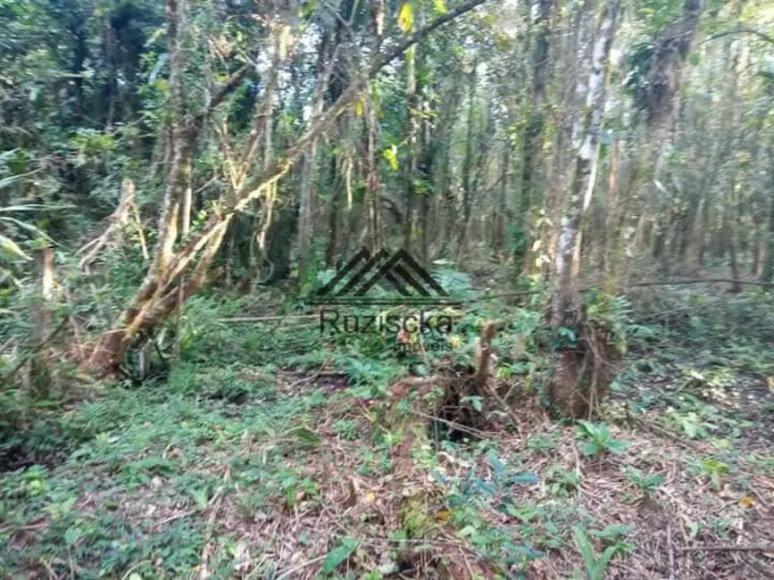 Chácara à venda, 1250m2 em Itanhaem - SP - imagem 8 Foto 8 de Chácara à venda, 1250m2 em Itanhaem - SP