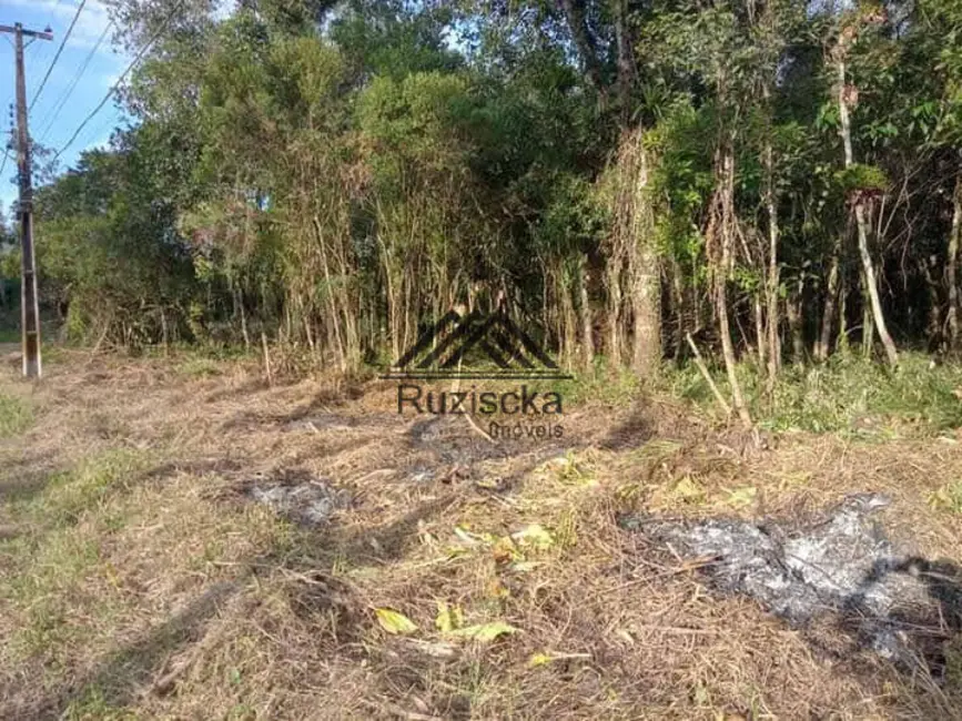 Chácara à venda, 1250m2 em Itanhaem - SP - imagem 4 Foto 4 de Chácara à venda, 1250m2 em Itanhaem - SP