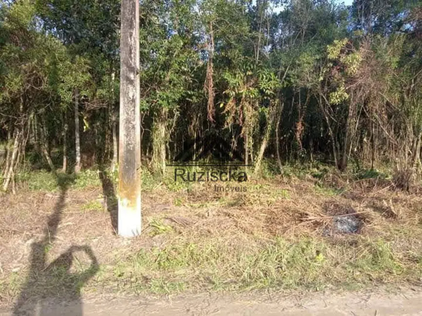 Chácara à venda, 1250m2 em Itanhaem - SP - imagem 7 Foto 7 de Chácara à venda, 1250m2 em Itanhaem - SP