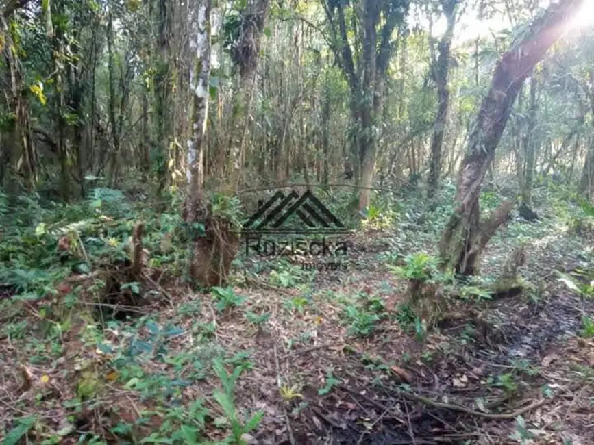 Chácara à venda, 1250m2 em Itanhaem - SP - imagem 6 Foto 6 de Chácara à venda, 1250m2 em Itanhaem - SP