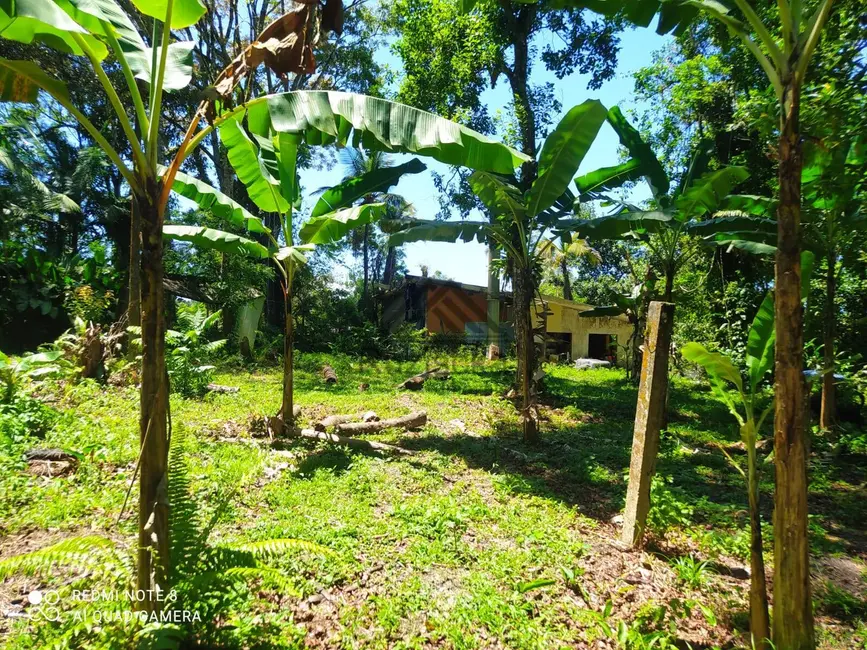 Chácara com 2 quartos à venda, 2000m2 em Itanhaem - SP - imagem 7 Foto 7 de Chácara com 2 quartos à venda, 2000m2 em Itanhaem - SP