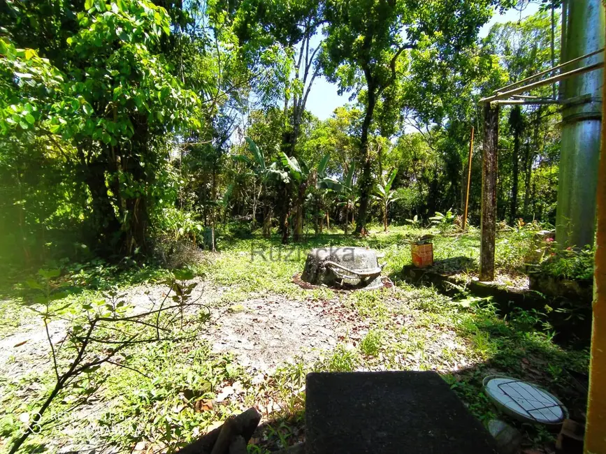 Chácara com 2 quartos à venda, 2000m2 em Itanhaem - SP - imagem 5 Foto 5 de Chácara com 2 quartos à venda, 2000m2 em Itanhaem - SP