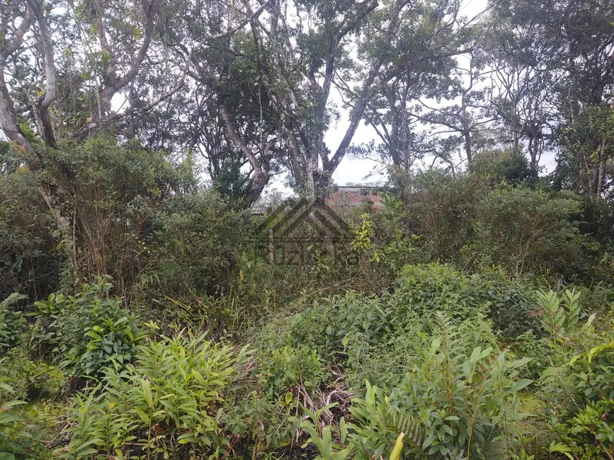Foto 4 de Terreno / Lote à venda, 275m2 em Itanhaem - SP