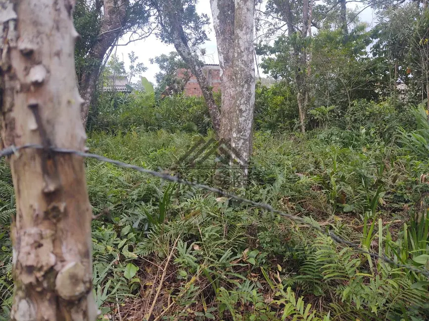 Foto 3 de Terreno / Lote à venda, 275m2 em Itanhaem - SP