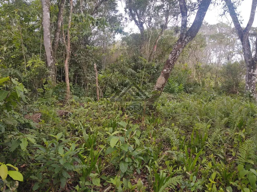 Foto 5 de Terreno / Lote à venda, 275m2 em Itanhaem - SP