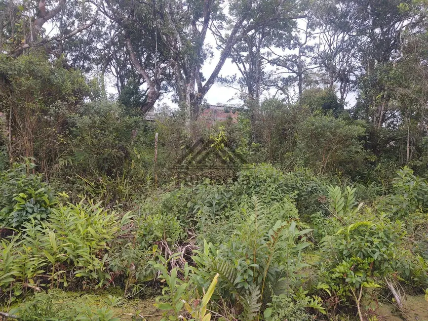 Foto 6 de Terreno / Lote à venda, 275m2 em Itanhaem - SP