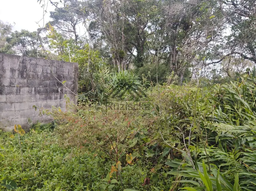 Foto 8 de Terreno / Lote à venda, 275m2 em Itanhaem - SP