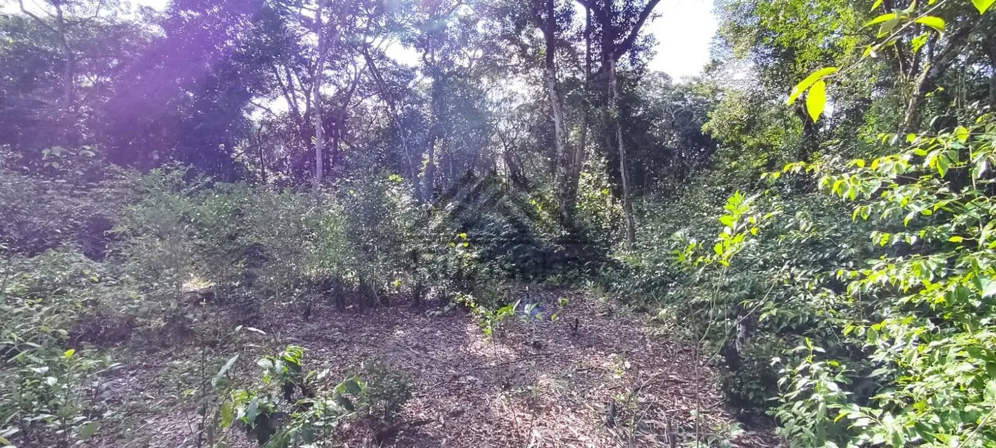 Chácara à venda, 2400m2 em Itanhaem - SP - imagem 4 Foto 4 de Chácara à venda, 2400m2 em Itanhaem - SP
